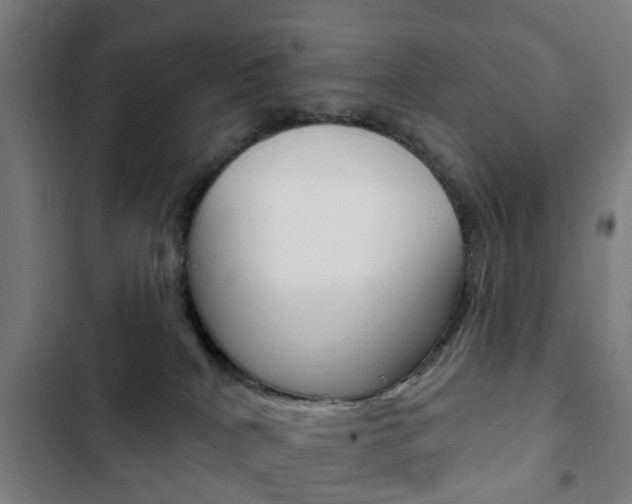 X0000103400040200809120934