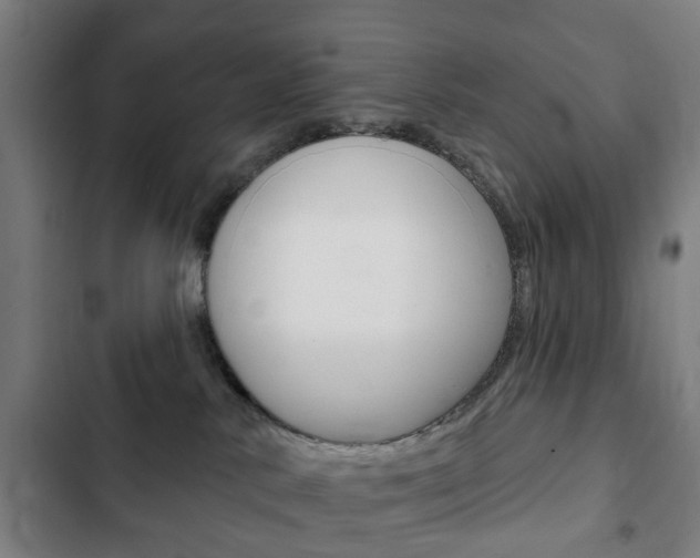 X0000103400042200809120934