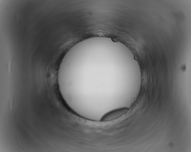X0000103400043200809120934