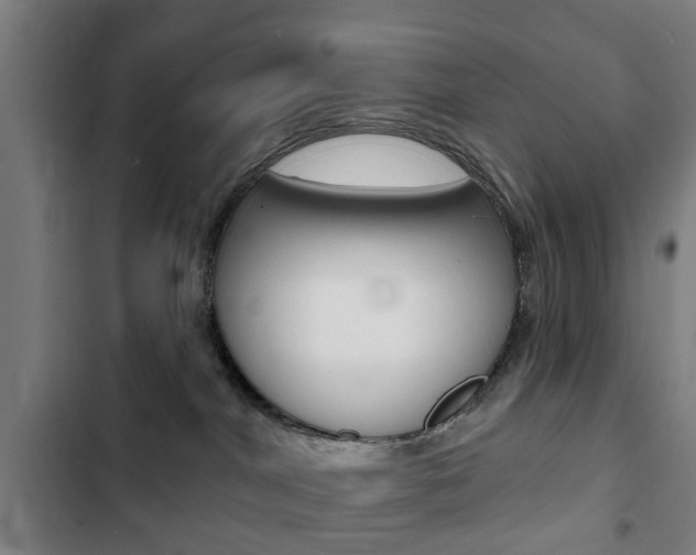 X0000103400044200809120934