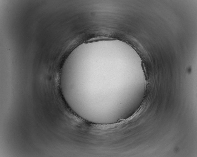 X0000103400045200809120934