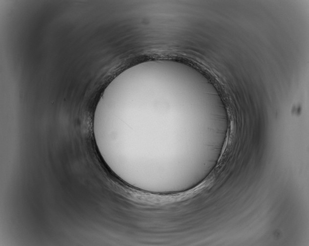 X0000103400048200809120934