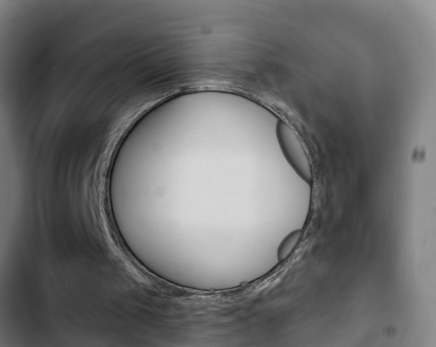 X0000103400049200809120934