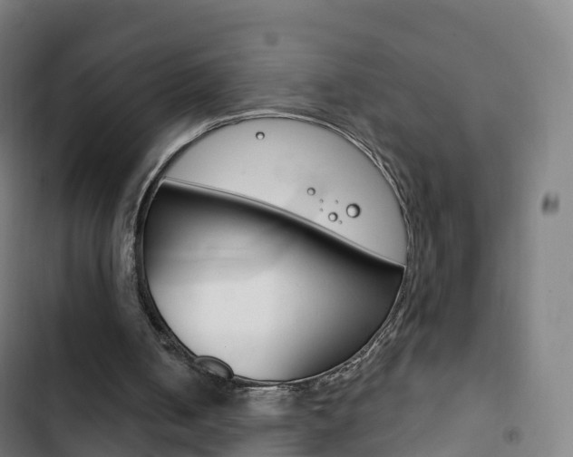 X0000103400050200809120934