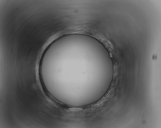 X0000103400051200809120934