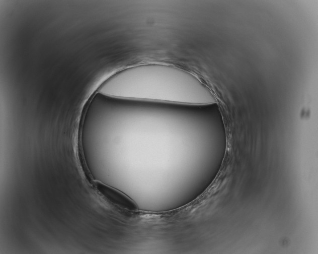 X0000103400052200809120934