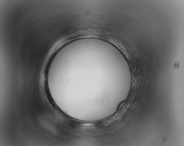 X0000103400053200809120934
