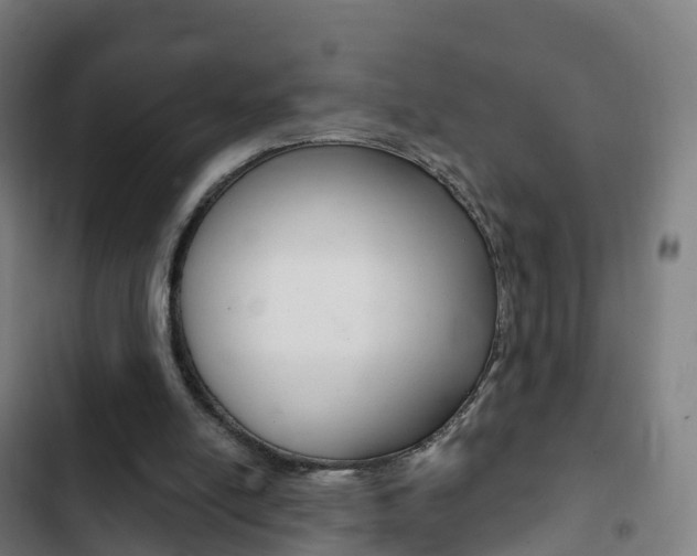 X0000103400054200809120934