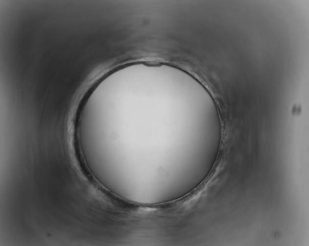 X0000103400055200809120934
