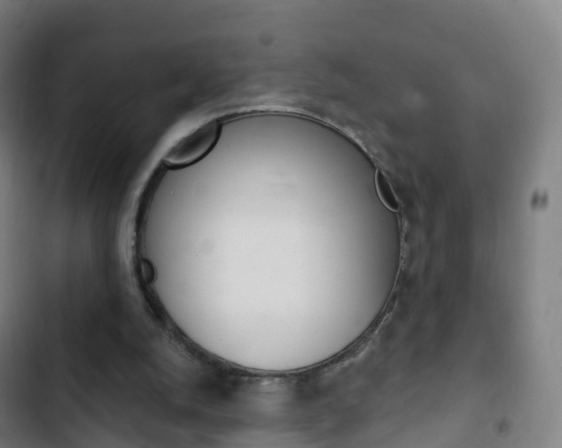 X0000103400056200809120934