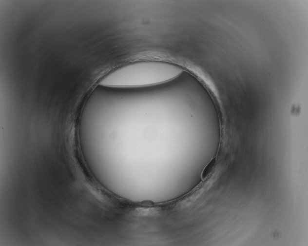 X0000103400057200809120934