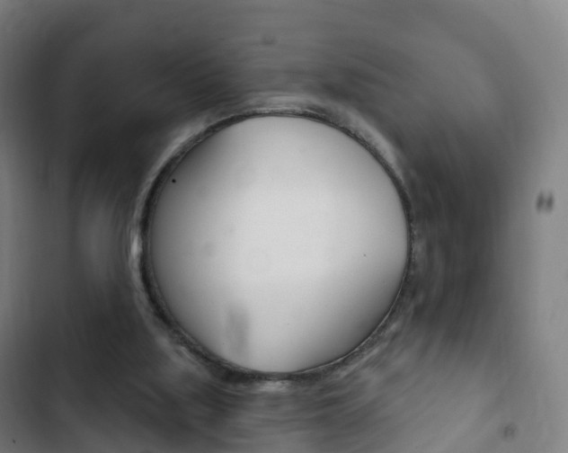X0000103400059200809120934