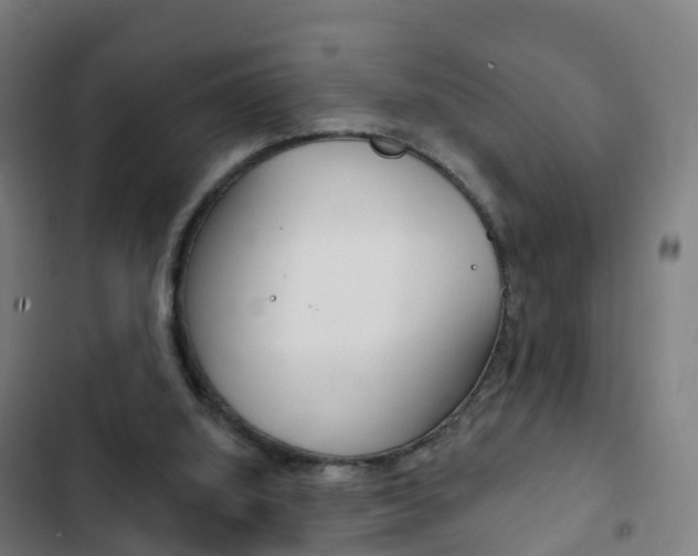 X0000103400060200809120934