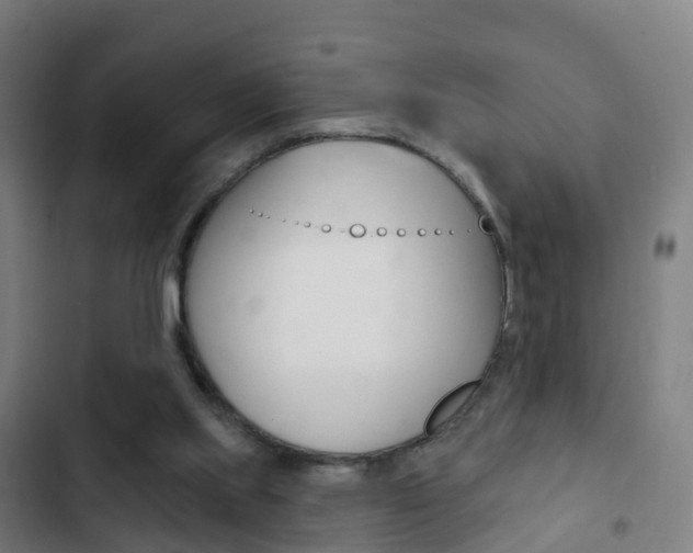 X0000103400061200809120934