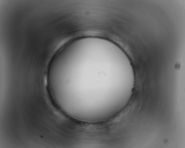 X0000103400062200809120934