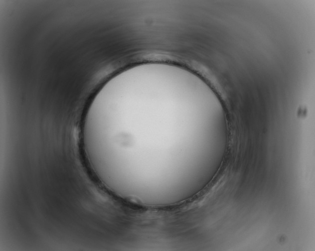 X0000103400063200809120934