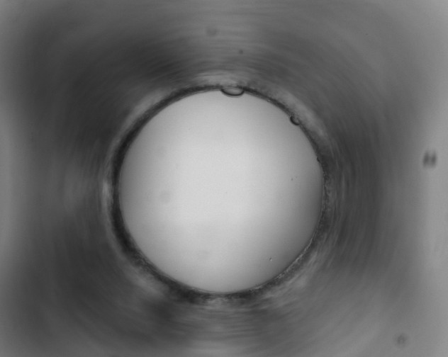 X0000103400064200809120934