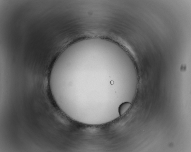 X0000103400065200809120934
