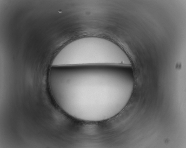 X0000103400066200809120934