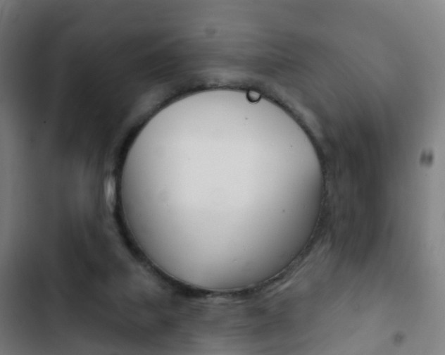 X0000103400067200809120934