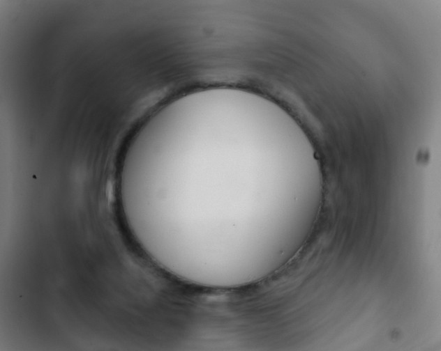 X0000103400068200809120934