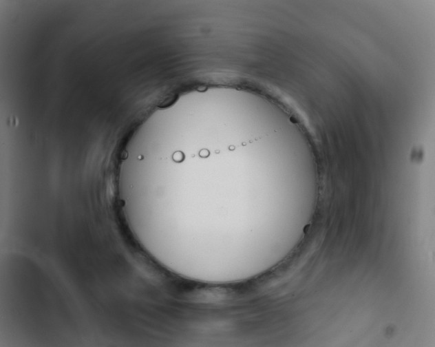X0000103400069200809120934