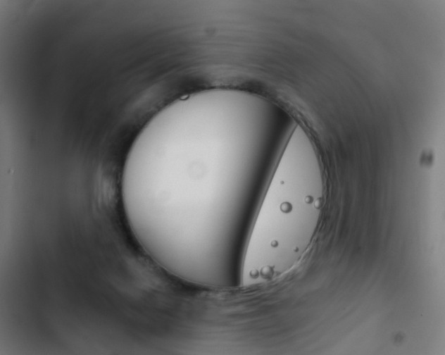 X0000103400074200809120934