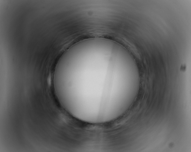 X0000103400075200809120934