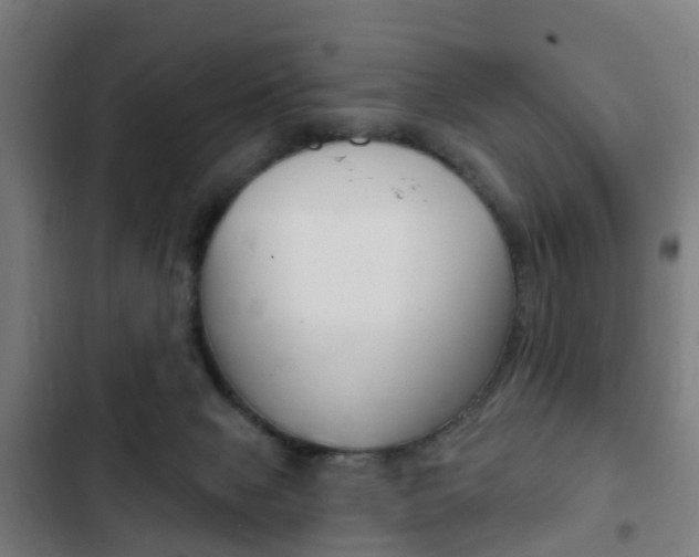 X0000103400077200809120934