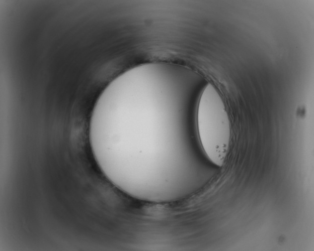 X0000103400079200809120934