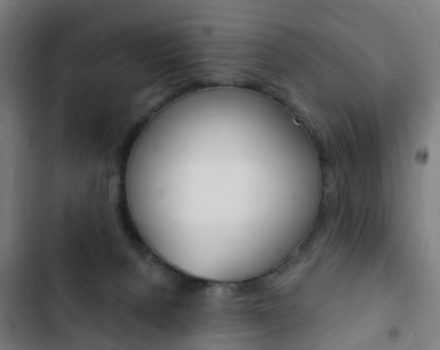 X0000103400080200809120934