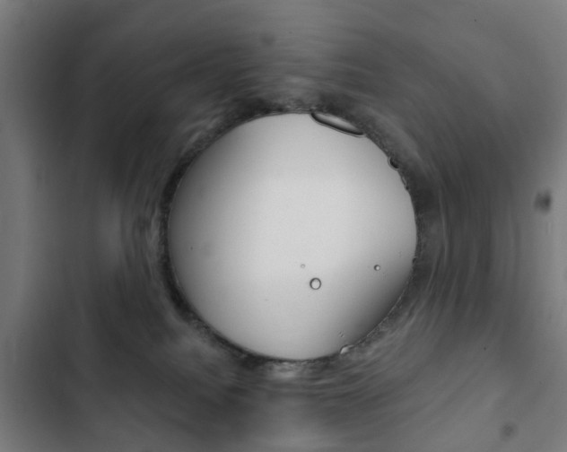 X0000103400088200809120934