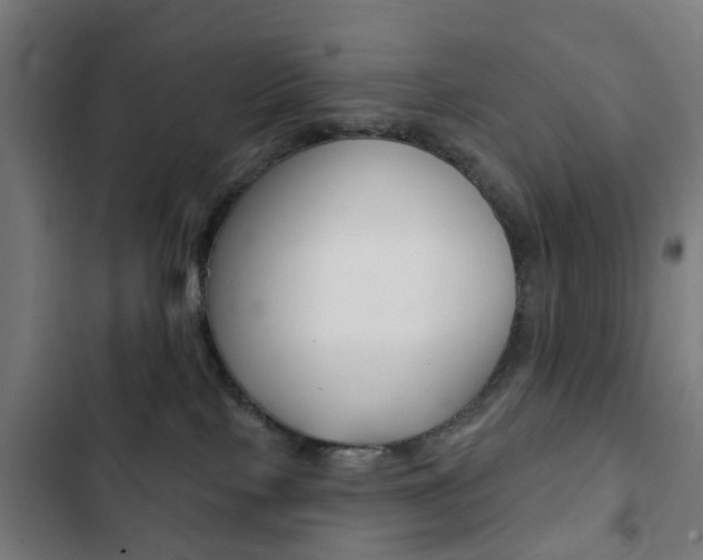 X0000103400089200809120934