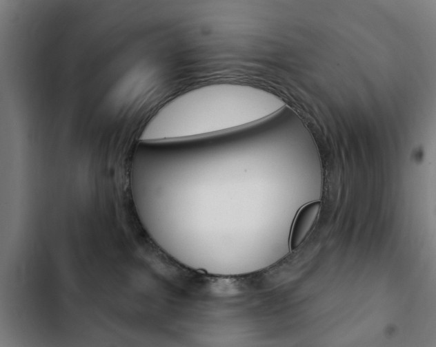 X0000103400091200809120934