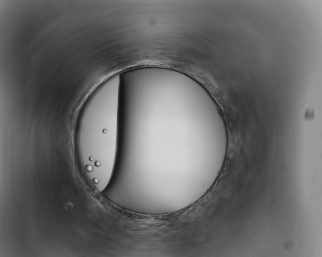 X0000103400098200809120934