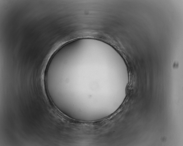 X0000103400099200809120934