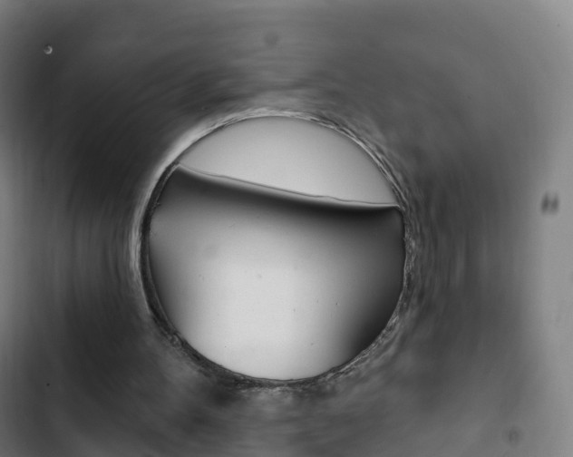 X0000103400100200809120934