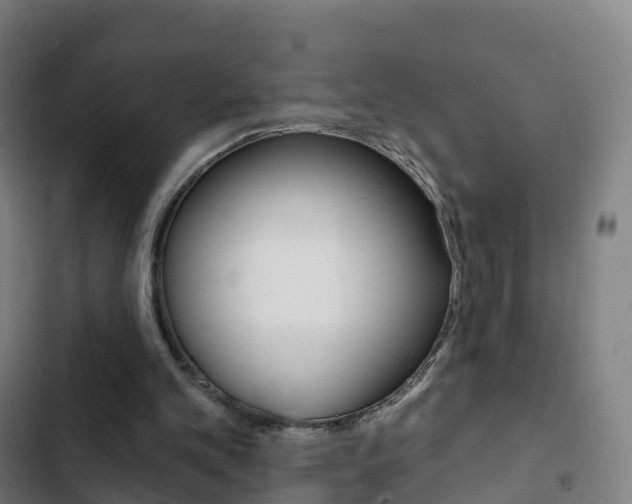 X0000103400101200809120934