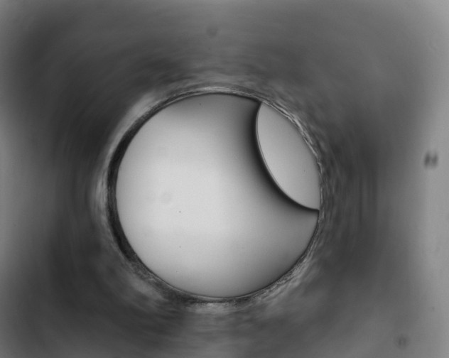 X0000103400102200809120933