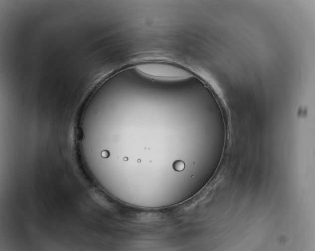 X0000103400105200809120933