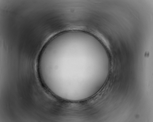 X0000103400107200809120933