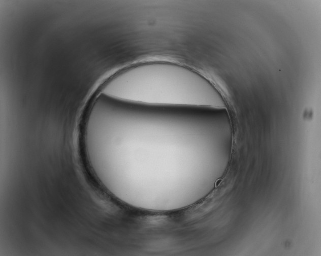 X0000103400108200809120933