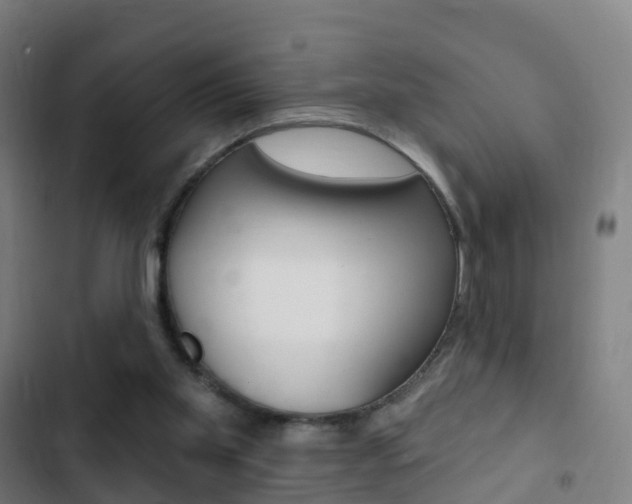 X0000103400109200809120933