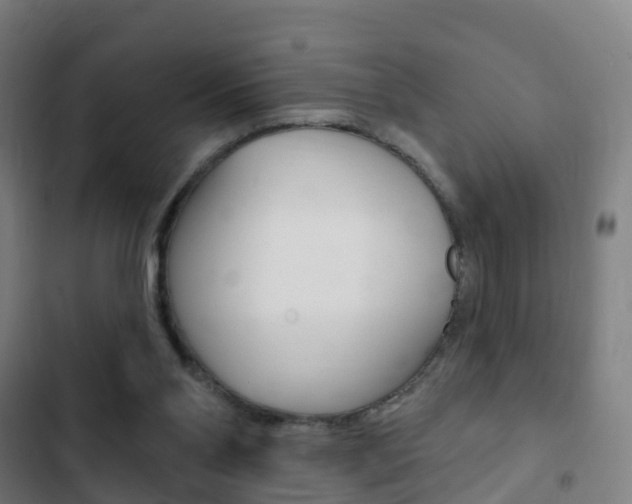 X0000103400110200809120933