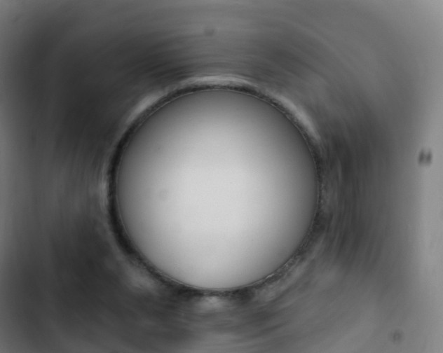 X0000103400111200809120933