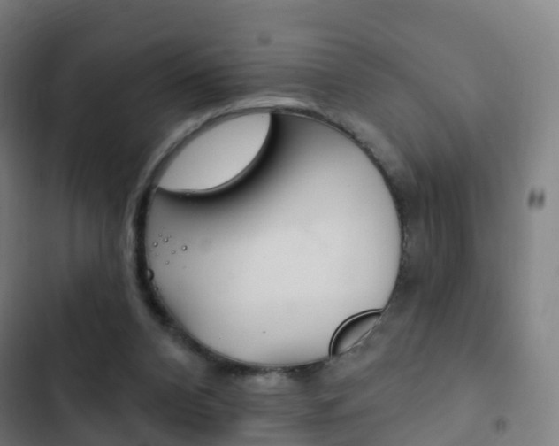 X0000103400112200809120933