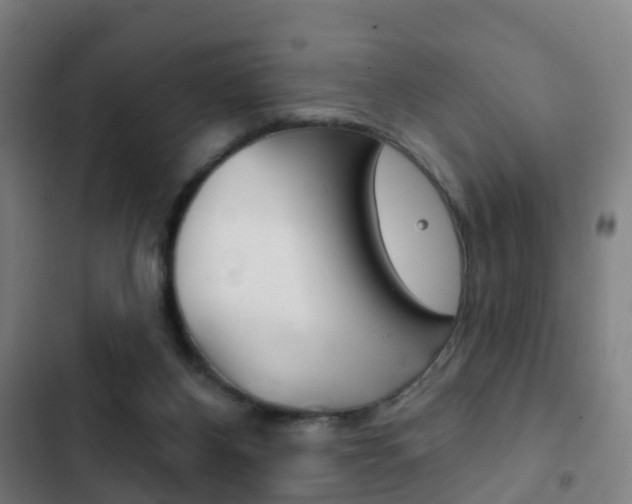 X0000103400116200809120933