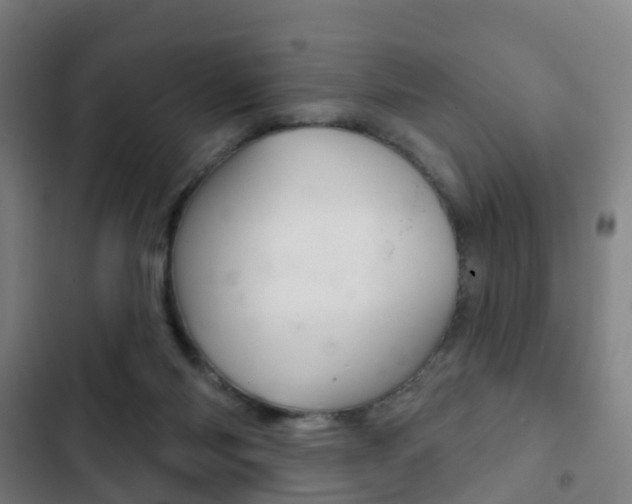 X0000103400118200809120933