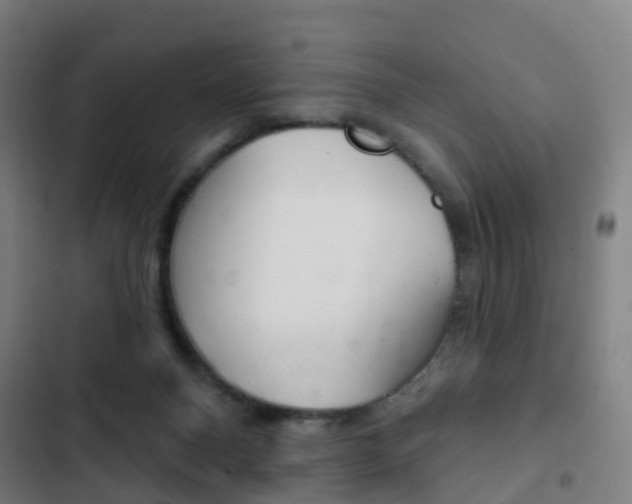 X0000103400120200809120933