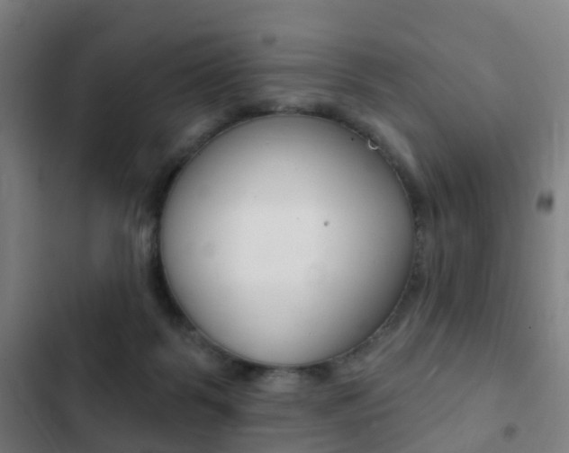 X0000103400123200809120933